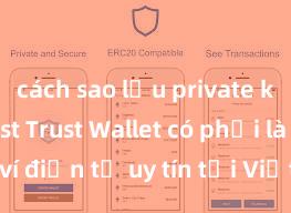 cách sao lưu private key ví trust Trust Wallet có phải là ví điện tử uy tín tại Việt Nam không?